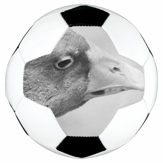 BWガチョウ サッカーボール (正面)