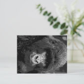 BWゴリラ顔 ポストカード (スタンド正面)