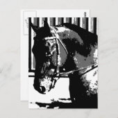 BWスタリオンホース ポストカード (正面/裏面)