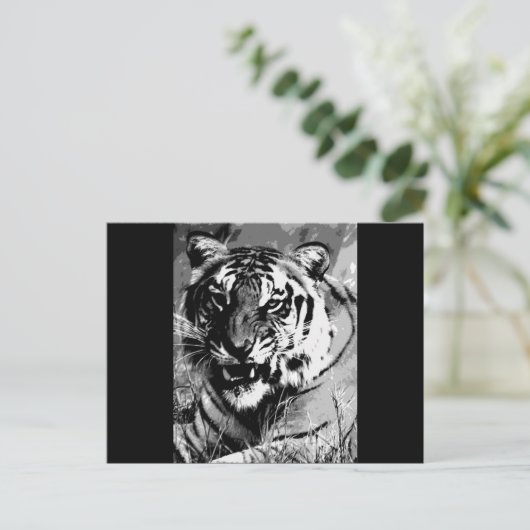 BWタイガー ポストカード (スタンド正面)