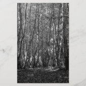 BWツリー 便箋 (正面)