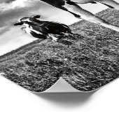 BWトリミング待ち ポスター (角)