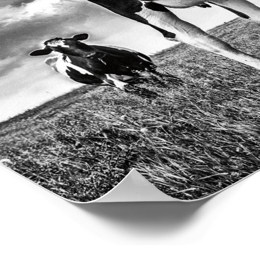 BWトリミング待ち ポスター (角)