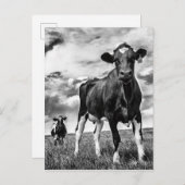 BWトリミング待ち ポストカード (正面/裏面)