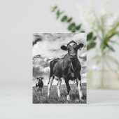 BWトリミング待ち ポストカード (スタンド正面)