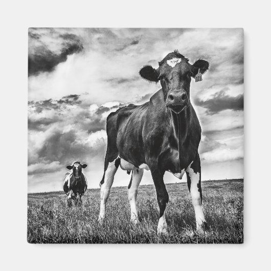 BWトリミング待ち マグネット (正面)