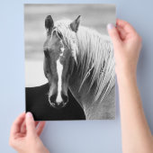 BWホースポートレート チラシ (手)