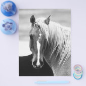 BWホースポートレート チラシ (シングル)