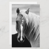 BWホースポートレート 便箋 (正面/裏面)