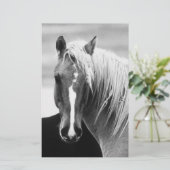 BWホースポートレート 便箋 (スタンド正面)