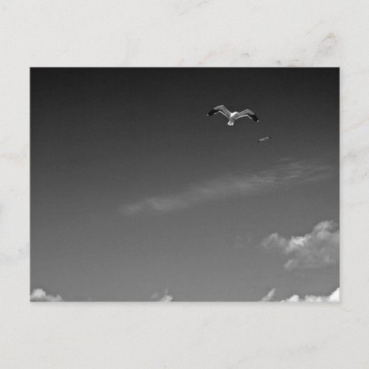 BWポストカードでの自由 ポストカード (正面)