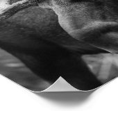 BWマウス ポスター (角)