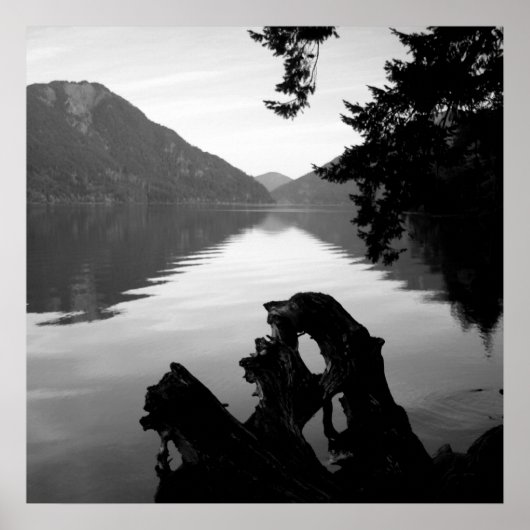 bwレイクビュー1 ポスター (正面)