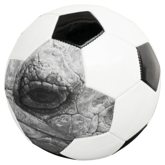 BW亀 サッカーボール (3/4)