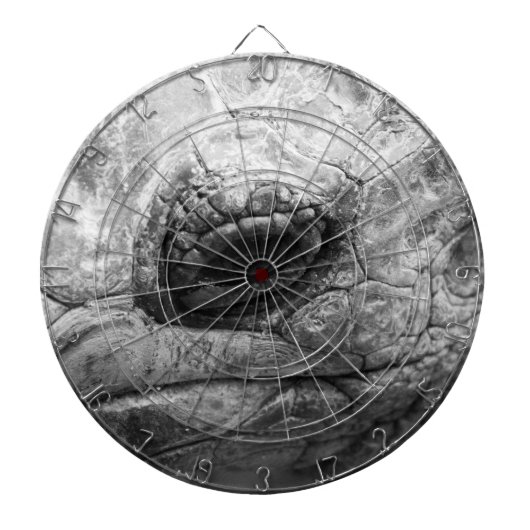 BW亀 ダーツボード (正面)