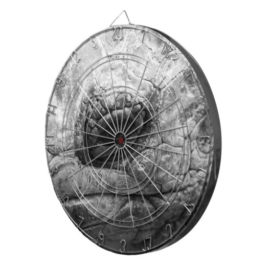 BW亀 ダーツボード (正面右)