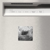 BW亀 マグネット (インサイチュ (食洗機))