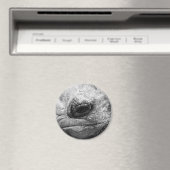 BW亀 マグネット (インサイチュ (食洗機))
