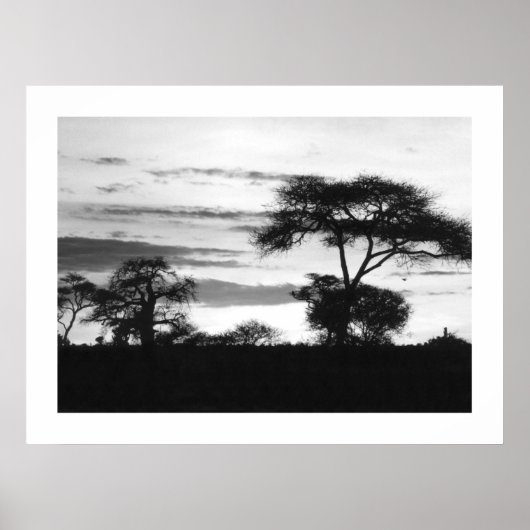 BW日没 ポスター (正面)