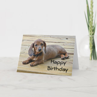 BW – ダックシュント子犬の誕生日カード カード