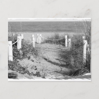 BW Fort Pierce、フロリダ州のビーチウォークドゥーンはロープをオフにした ポストカード