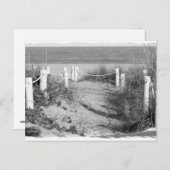 BW Fort Pierce、フロリダ州のビーチウォークドゥーンはロープをオフにした ポストカード (正面/裏面)