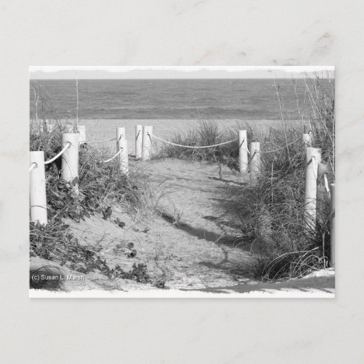 BW Fort Pierce、フロリダ州のビーチウォークドゥーンはロープをオフにした ポストカード (正面)