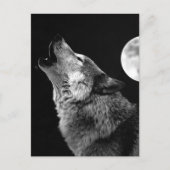 BW Wolf Howling at Moon ポストカード (正面)