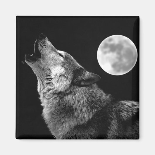 BW Wolf Howling at Moon マグネット (正面)