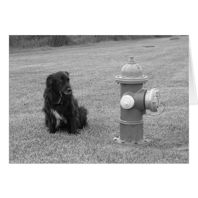 bw_your_turn (正面横)