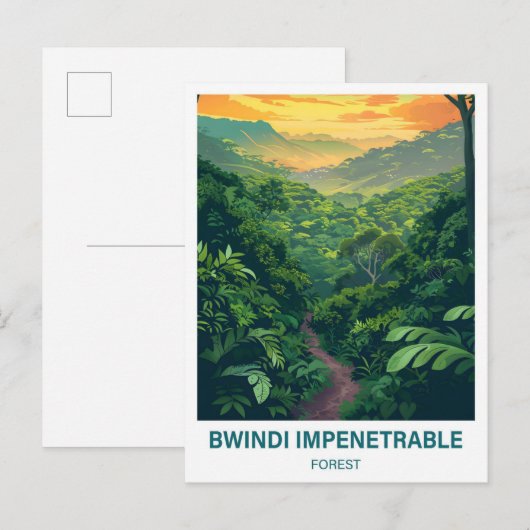 Bwindi Impernable Forest Uganda Travel ポストカード (正面/裏面)