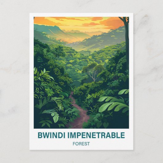 Bwindi Impernable Forest Uganda Travel ポストカード (正面)