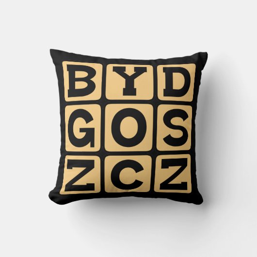 Bydgoszcz、ポーランドの都市 クッション (正面)