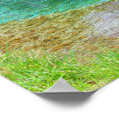 Byrdsミル春 – カラー飽和 ポスター (角)