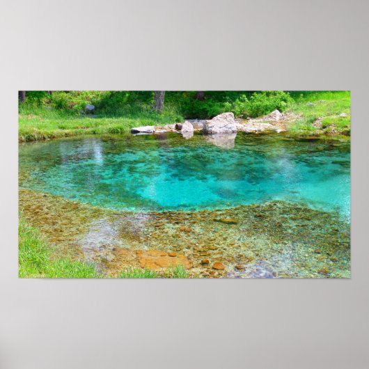 Byrdsミル春 – カラー飽和 ポスター (正面)