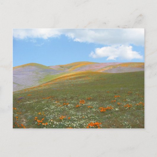 Cの春Lndscp ポストカード (正面)