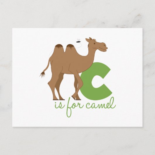 Cはラクダ用 ポストカード (正面)