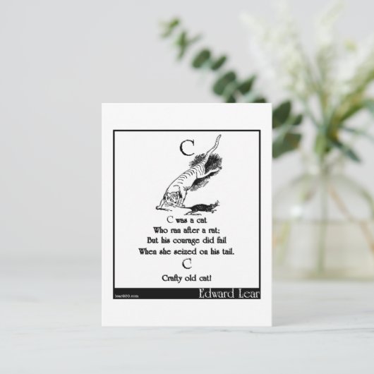Cは猫だった ポストカード (スタンド正面)