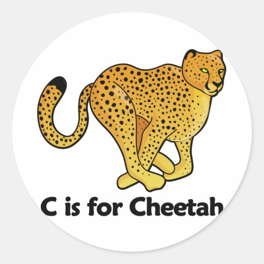 CはCheetah用 ラウンドシール (正面)