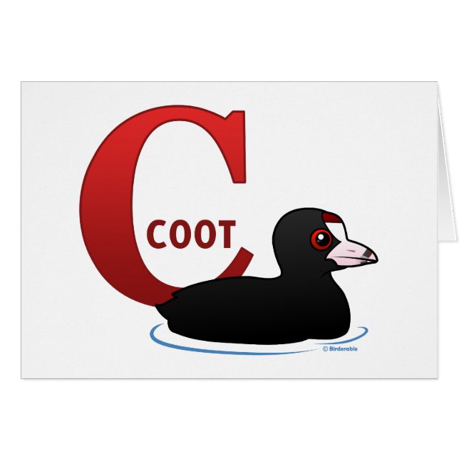 CはCootのためです (正面横)