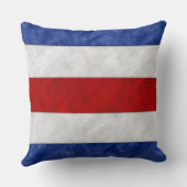 Cチャーリー水航海の色シグナル海上国旗 クッション (裏面)