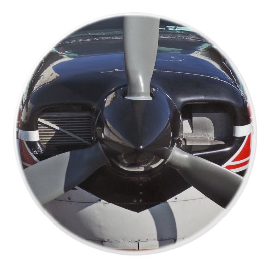 C210陶磁器のノブ セラミックノブ (正面)