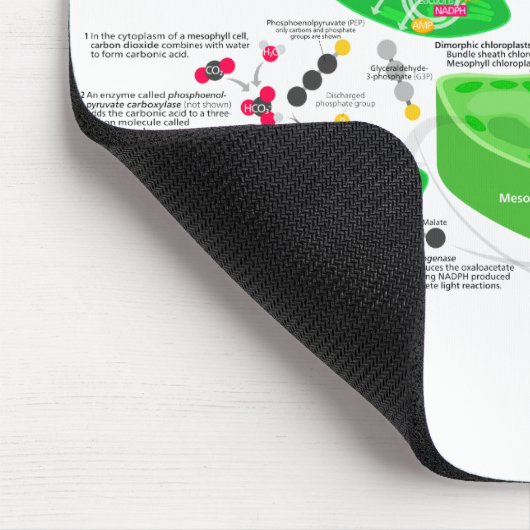 C4光合性の図表 マウスパッド (コーナー)