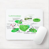 C4光合性の図表 マウスパッド (マウス)