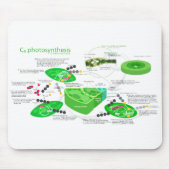 C4光合性の図表 マウスパッド (正面)