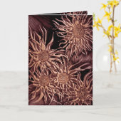 C4内の写真 カード (黄色い花)