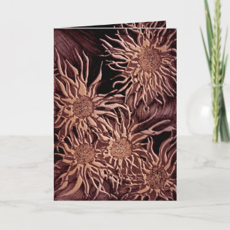 C4内の写真 カード