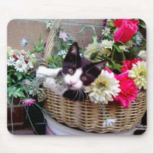 C.かごの子猫 マウスパッド