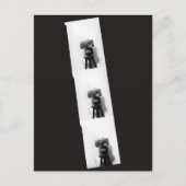 C.フォトブースのカメラ ポストカード (正面)