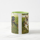 C マグカップ (中央)